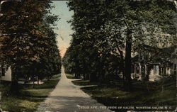 Cedar Avenue - The Pride of Salem Postcard