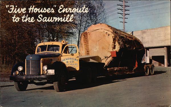 Five Houses Enroute to the Sawmill, Logging in the Pacific Northwest