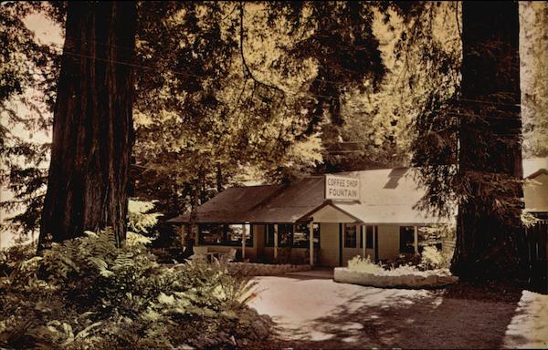 Coffee Shop and Fountain, New Hartsook Inn California