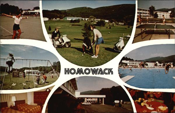 Davidman's Homowack - Open the Year Round Spring Glen New York