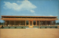 The Pine Tree Shop Tomahawk, WI Postcard 