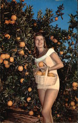 Woman in Swimsuit Picks California Oranges Postcard