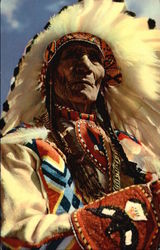 Chief Sitting Eagle Postcard