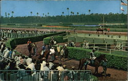 Hollywood Park Postcard