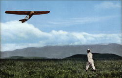 Plane Over Field in Japan Postcard