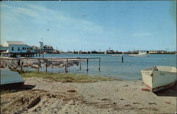 The shore of Silver Lake Ocracoke, NC Postcard Postcard