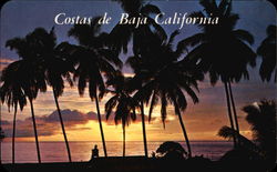 Costas de Baja California Postcard