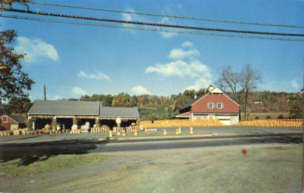 Wightman's Farms, Highway U. S. 202 Morristown New Jersey