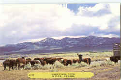 Greetings From Wells Nevada Postcard Postcard