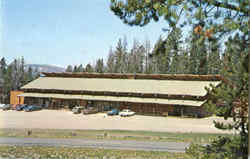 Togwotee Mountain Lodge Moran, WY Postcard Postcard