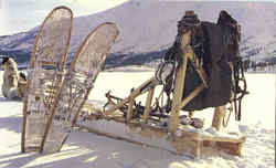 Stock #29241 Thumbnail