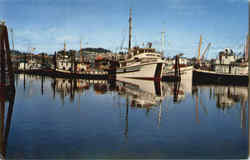 Kodiak small boat harbor Postcard