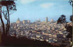 Nob Hill San Francisco, CA Postcard Postcard