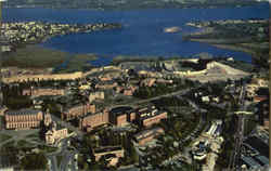 University Of Washington Postcard