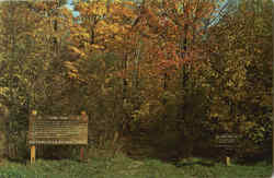 Long Trail Postcard