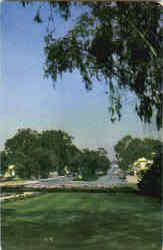 The Village From The Inn Postcard