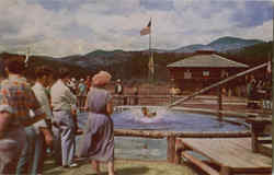 Stock #29519 Thumbnail