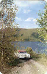 Springtime Scene Finger Lakes, NY Postcard Postcard