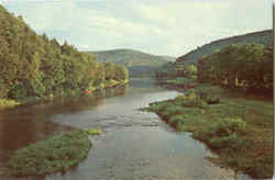 Greetings From Greenville Postcard