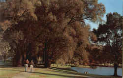 The Willow Path And Taylor Lake, Colgate University Postcard