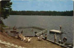 Gleasman's Long Point Cottages Brantingham Lake, NY Postcard Postcard