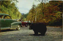 Stock #29805 Thumbnail