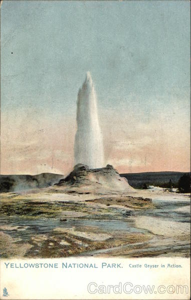 Castle Geyser in Action Yellowstone National Park