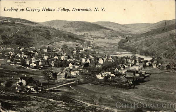 Looking on Gregory Hollow Valley Downsville New York