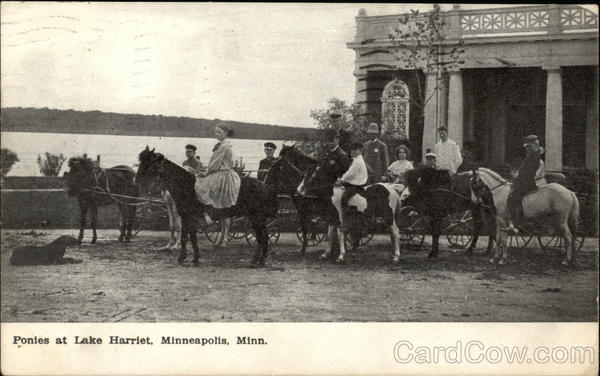 Ponies at Lake Harriet Minneapolis Minnesota