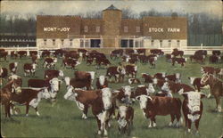Mont-Joy Stock Farm Dane, WI Postcard Postcard