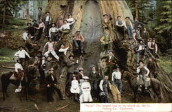 Stock #343670 Thumbnail