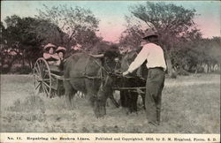 Repairing the Broken Lines Postcard