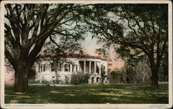 The Hermitage Postcard
