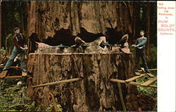 Stock #343773 Thumbnail