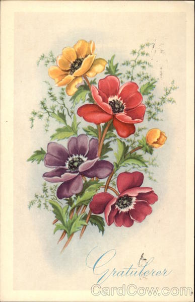 Anemones Flowers