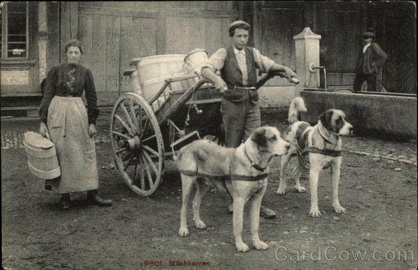 Boy With Cart Pulled by Two Dogs