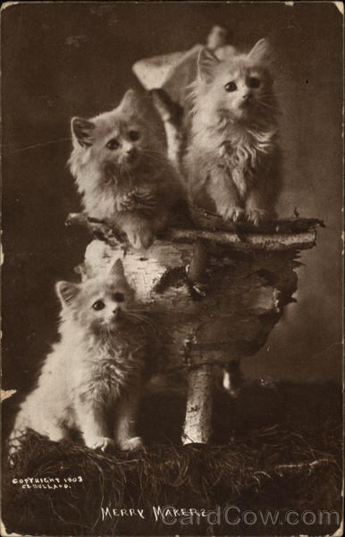 Merry Makers Cats