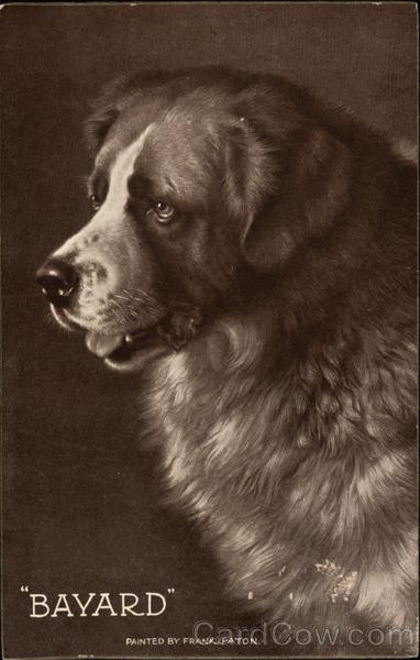 Bayard Dogs