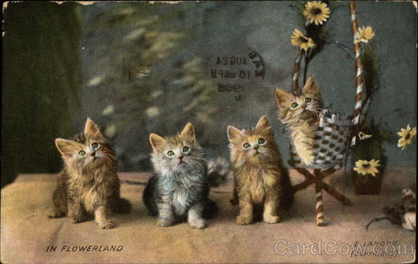 In Flowerland Cats