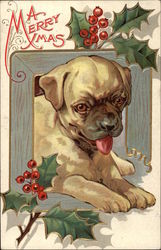 A Merry Xmas Postcard