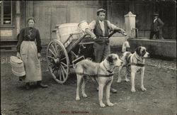 Stock #344127 Thumbnail