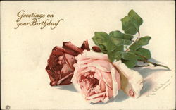 Greetings on your Birthday Postcard