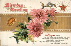 Birthday Greeting Postcard