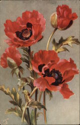 Four Bright Orange Poppies Tuck's Oilette Series Postcard Postcard