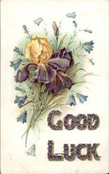 Good Luck Postcard