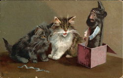Two Cats And a Jack-in-the-box Postcard