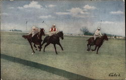 Playing Polo in the Carolinas Postcard