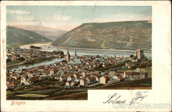 View over Town Bingen Germany