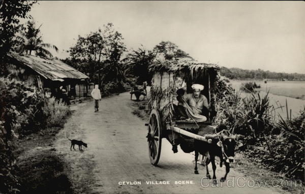 Ceylon Village Scene Sri Lanka Southeast Asia
