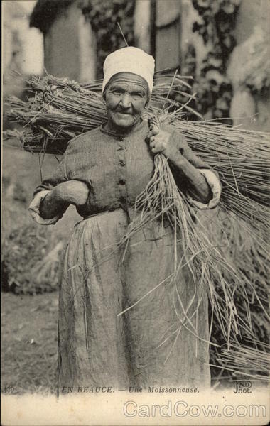 Woman Harvesting Beauce France